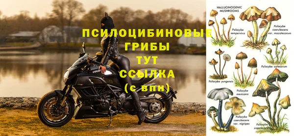 mix Медногорск