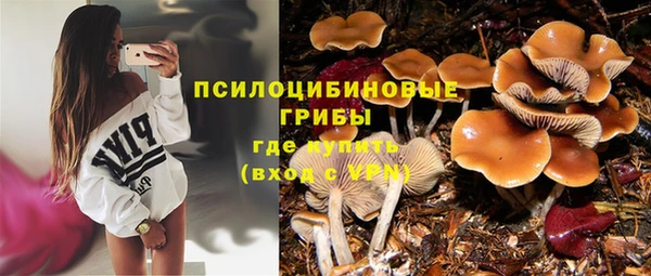 ГАЛЛЮЦИНОГЕННЫЕ ГРИБЫ Одинцово